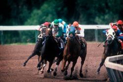 Horse Racing, Derby, Mid-race